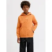 Jack & Jones Back Printet Hættetrøje Boys