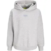 JJXX Sweatshirt 'JXNELLY' grå-meleret / lilla