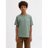 Jack & Jones T-shirt - JorNorrebro - Laurel Wreath - - 12 år (152) - T-Shirt