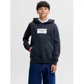 JACK&JONES JUNIOR Logo Hættetrøje Boys