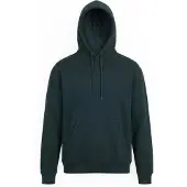 Volcom Sweatshirt 'SINGLE STONE' mørkegrøn