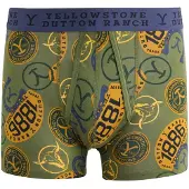 Next Boksershorts navy / gul / grøn