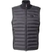 Colmar Vest sort