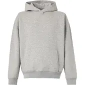 Hollister Sweatshirt grå-meleret