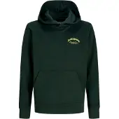 JACK&JONES JUNIOR Logo Hættetrøje Boys