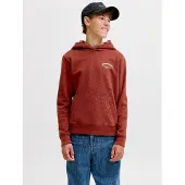Jack & jones Logo Hættetrøje Boys