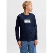 JACK&JONES JUNIOR Logo Langærmet T-shirt Boys