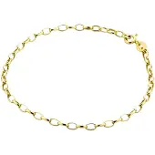 Diamant L'Eternel Armbånd 'Armband aus 585 Gelbgold' gylden gul