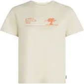 O'Neill Shirts orange / offwhite