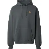 Iriedaily Sweatshirt 'Serial Chiller' gran