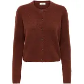 JDY Cardigan 'JDYChloe' brun