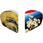 Arai Vas-v Tsubasa Hjelmsider