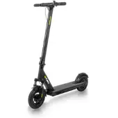 W-Tec El-scooter Dalehunter 10''