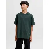 Jack & Jones T-shirt - Noos - JjeBarron - Scarab - - 12 år (152) - T-Shirt