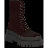 Steve madden Snørestøvletter 'COAST' mørkebrun