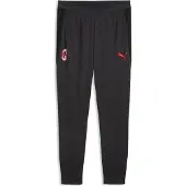 Puma AC Milan Slim Training Pants Men, Clothing, Flat Dark Gray, M