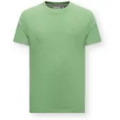 Superdry Bluser & t-shirts 'Essential' grøn
