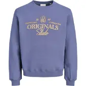 Jack & Jones Back Printet Sweatshirt Boys