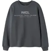 LMTD Sweatshirt grå / lysegrå