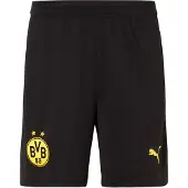 Puma Borussia Dortmund 26/27 Shorts Men, Clothing, Black, M