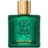 Roberto Cavalli Uomo Verde Assoluto Eau de parfum 100 ml