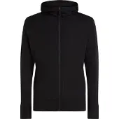 Icebreaker Merino 260 Quantum Iv Sweatshirt Med Lynlås