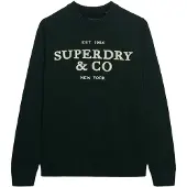 Superdry Superdrytil mænd. M6110788A Jersey Applique grøn (L), Casual, Bomuld