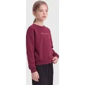 ONLY GIRLS Sweatshirt 'KOGELFIE' mørkegrøn / lyserød / cranberry / hvid