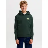 JACK&JONES JUNIOR Logo Hættetrøje Boys