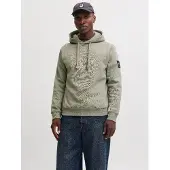 Jack & Jones Sweatshirt 'JJCLEVELAND' siv
