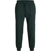 Jack & Jones Bukser 'JPSTGORDON JJBRADLEY' mørkegrøn