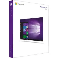 Microsoft Windows 10 Pro (OEM)