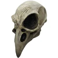 Ghoulish Ravneskallemaske