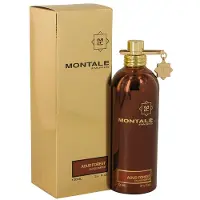 Montale Aoud Forest Vapo 100ml Eau De Parfum