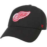 47 Detroit Wings Kasket