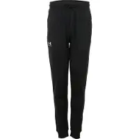 Under Armour Sportsbukser 'Sportstyle' sort