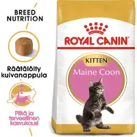 Royal Canin Kitten Maine Coon kattefoder