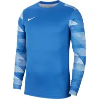 Nike Funktionsskjorte 'Park IV' blå / lyseblå