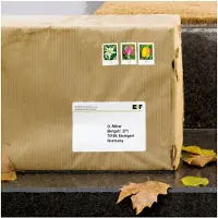 Herma Special - Polyester - mat - selvklæbende med ekstra styrke - hvid - 57 x 99.1 mm 250 etikette(r) (25 ark x 10) forsendelsesfilmmærkater