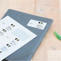 Herma Special - Papir - mat - permanent selvklæbende - belagt - hvid - 83.8 x 50.8 mm - 90 g/m² - 250 etikette(r) (25 ark x 10) adresseetiketter