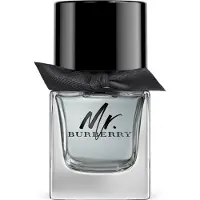 Burberry Mr., Mænd, 50 ml, Spray