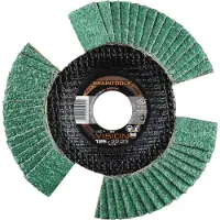 Rhodius 207079 LSZ F VISION Lamelslibeskive Diameter 125 mm Borings-diameter 22.23 mm Rustfrit stål 1 stk