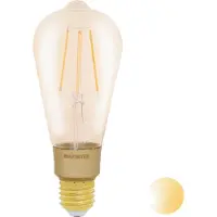Vogel's Marmitek Smart me Smart comfort Glow XLI - LED-filament-lyspære - form: ST64 - E27 - 6 W (tilsvarende 40 W) - klasse E - varmt hvidt lys - 2500 K