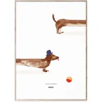 MADO Doug the Dachshund plakat 50x70 cm