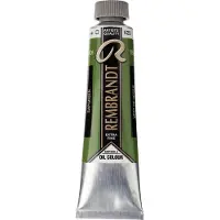 Rembrandt Oliefarve tube, Sap Green 623