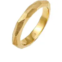 Elli PREMIUM Ring guld