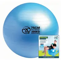 Fitness-Mad 300kg Anti-burst Swiss Fitball