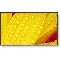 NEC MultiSync ME431 - 43 Diagonal klasse ME Series LED-bagbelyst LCD paneldisplay - digital skiltning - 4K UHD (2160p) 3840 x 2160 - Direct LED - sort, pantone 426M