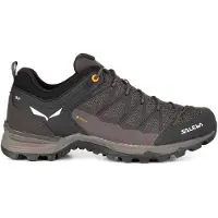 Salewa Mtn Trainer Lite Gore-tex Vandresko