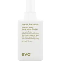 Evo Mister Fantastic Blowout Spray - Forbedrer stilen bygger krop og reducerer blæsetørringstid - Varmebeskyttelsesstylingspray - Rejsestørrelse